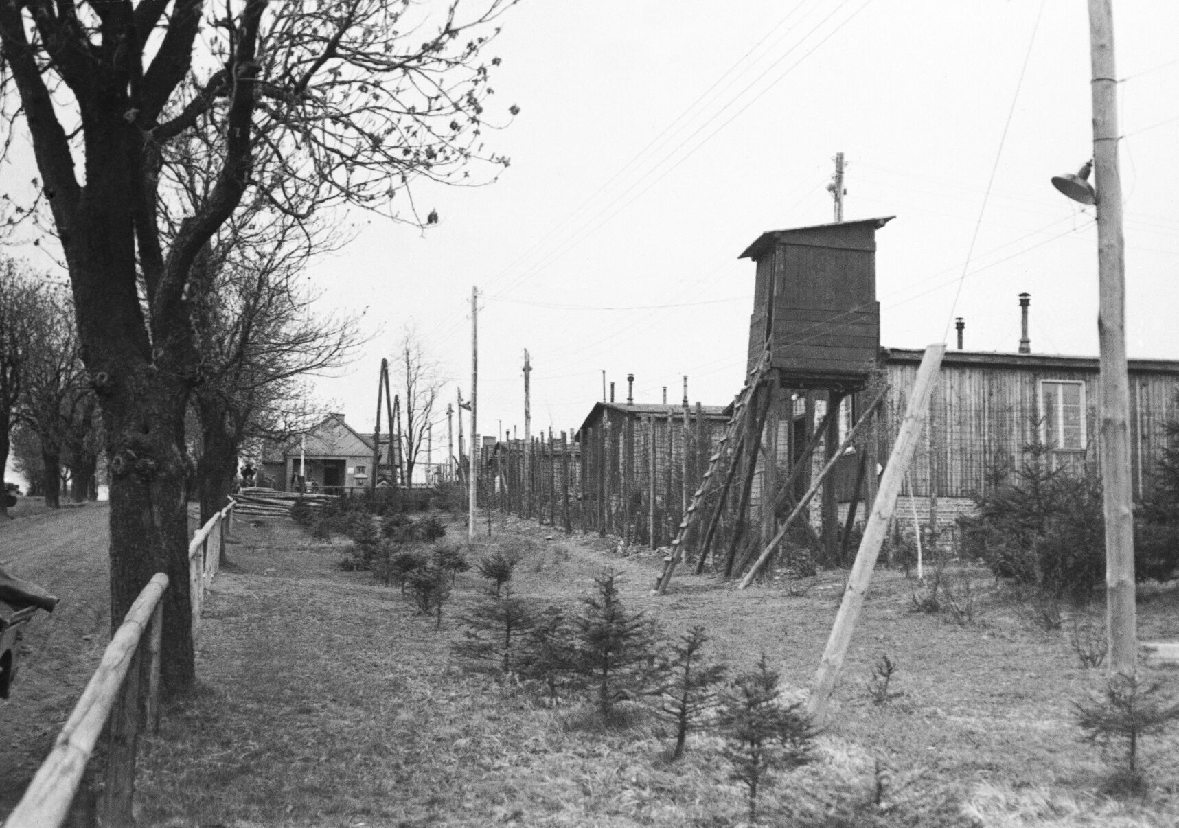 1945: World War II